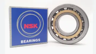 [6013 2RS NSK] 001083