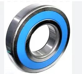 [6313 2RS PFI] 001660
