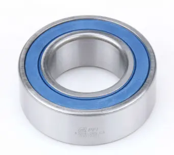 [63006 2RS PFI 30X55X19**] 002260